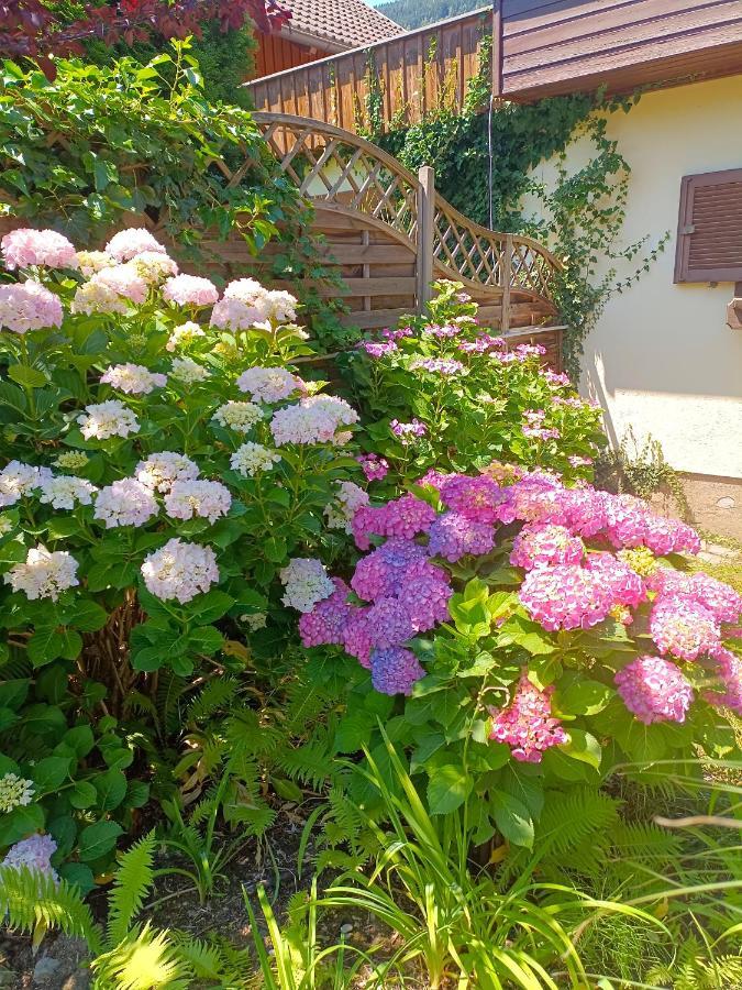 Haus Flora - Ferienwohnung Bodensdorf Eksteriør billede