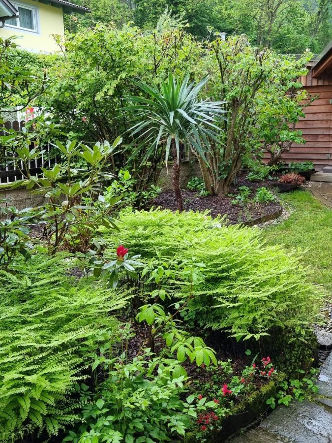 Haus Flora - Ferienwohnung Bodensdorf Eksteriør billede